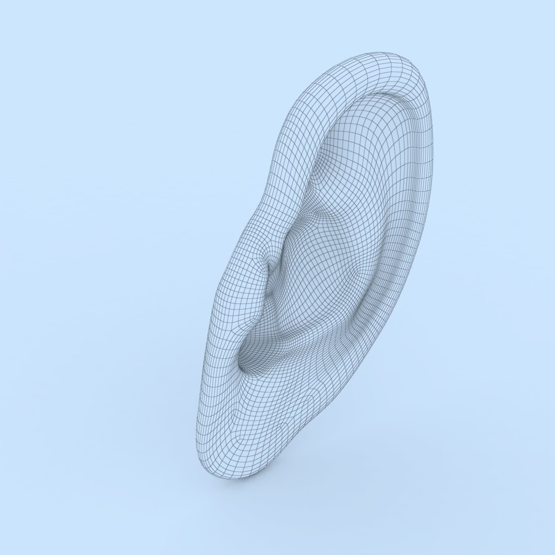 3D ear human organ model https://p.turbosquid.com/ts-thumb/xz/J6B5Z9/wy/ear11/jpg/1613823512/1920x1080/fit_q87/5ba26294acf5c1bea1369519c2d4f25d79411ae4/ear11.jpg