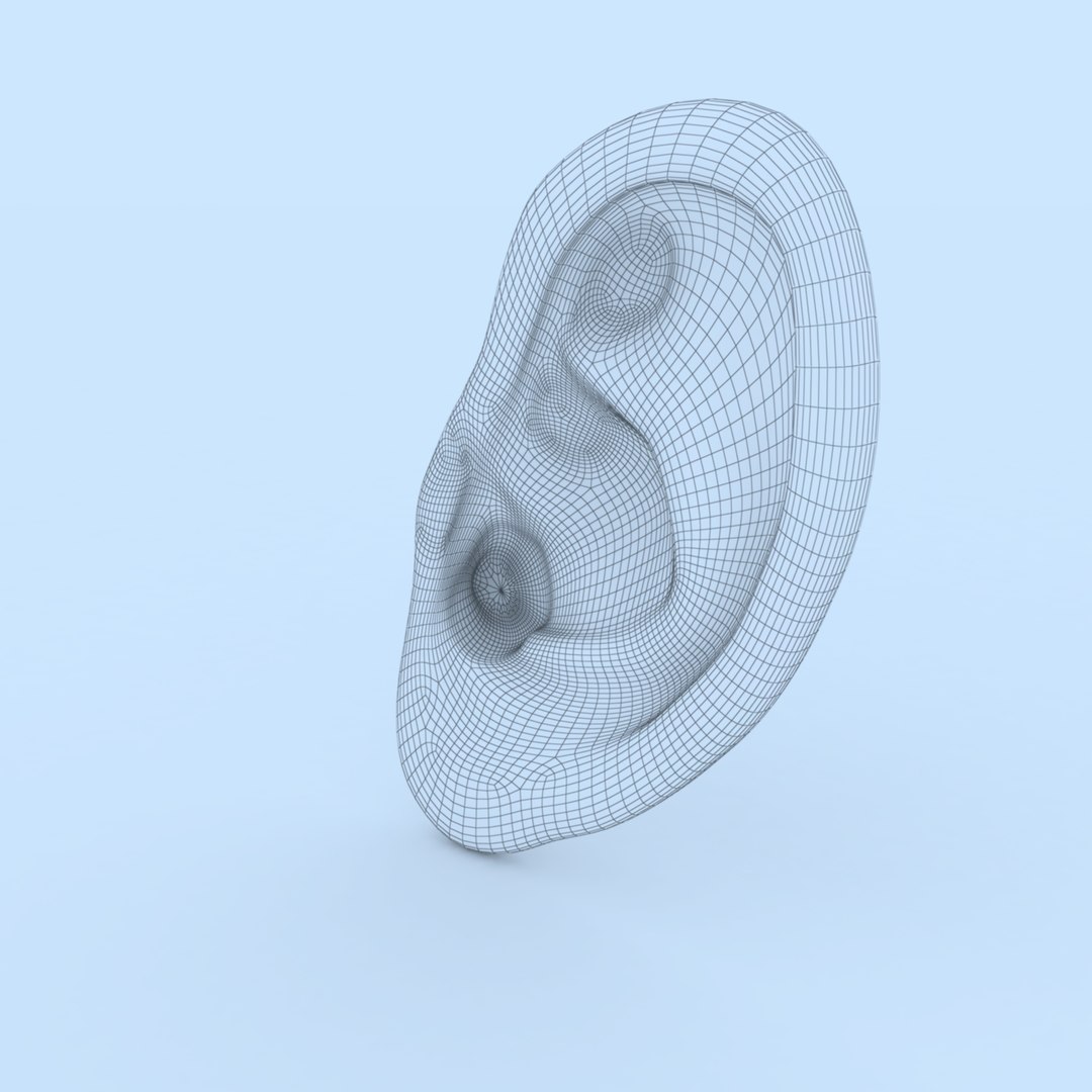 3D ear human organ model https://p.turbosquid.com/ts-thumb/xz/J6B5Z9/yX/ear10/jpg/1613823502/1920x1080/fit_q87/08132da5eb8fff9186a48945c40bac3f684ac2f6/ear10.jpg