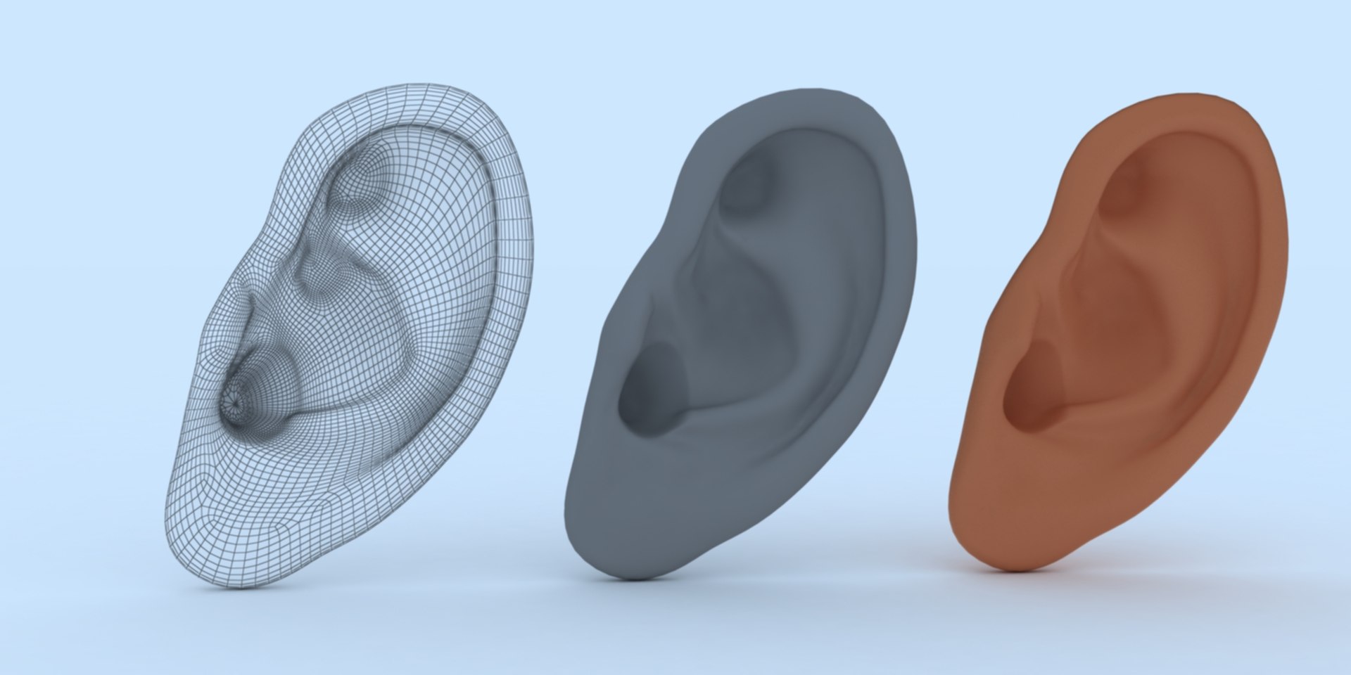 3D ear human organ model https://p.turbosquid.com/ts-thumb/xz/J6B5Z9/zb/earset/jpg/1613823448/1920x1080/fit_q87/cc36f18a621270035764ac2ed246e1a225769d00/earset.jpg