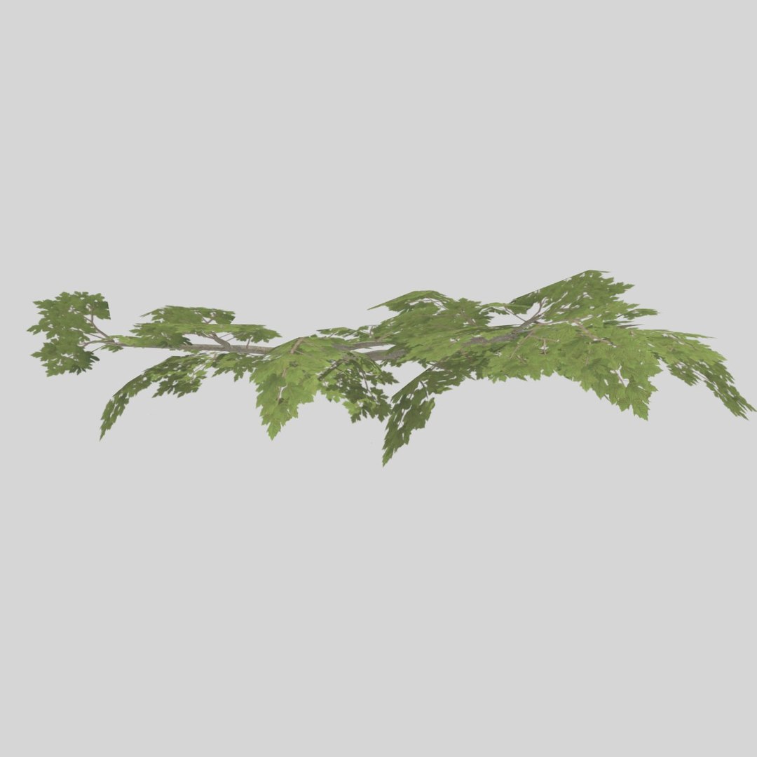 3D Model Rigged Tree Branch Types TurboSquid 1397320