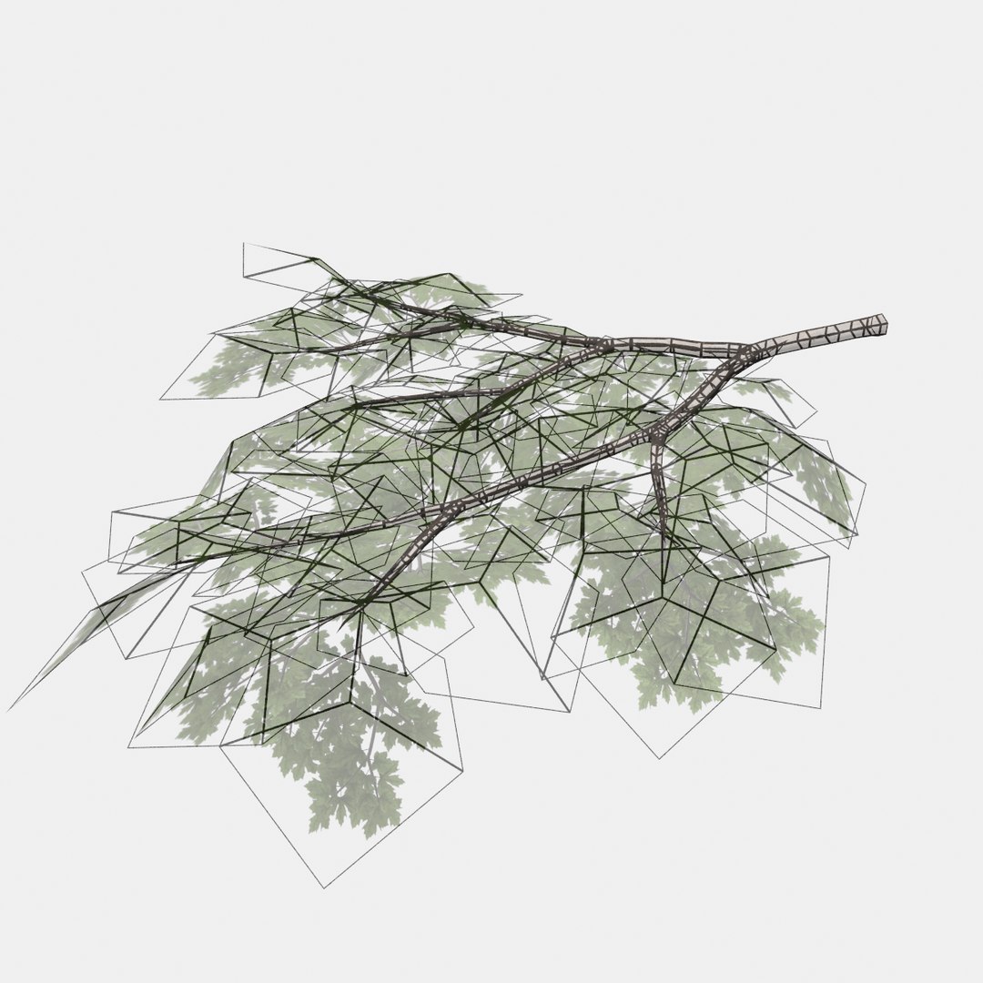 3D Model Rigged Tree Branch Types TurboSquid 1397320
