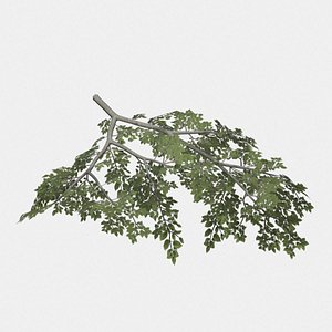 Tree Branch, Rigged, Type 1