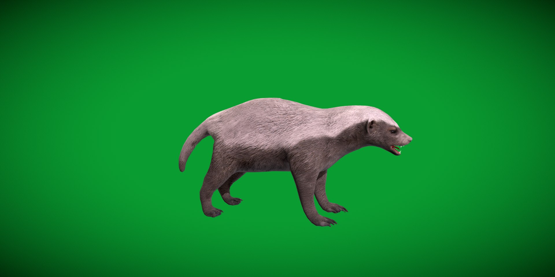 3D HoneyBadger https://p.turbosquid.com/ts-thumb/xz/OBWGb9/GP/ratel8/png/1786659303/1920x1080/fit_q87/47a6f5b6097c2cef3efc0d55ef1f1ae29a6869d5/ratel8.jpg