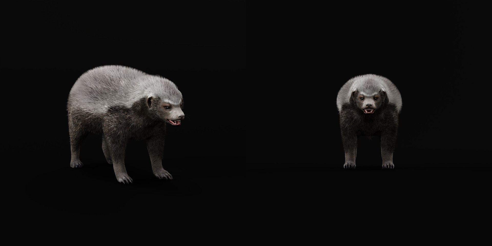 3D HoneyBadger https://p.turbosquid.com/ts-thumb/xz/OBWGb9/Kj/ratel9/png/1786659302/1920x1080/fit_q87/46e44dd9265cec4ce0c6764a3019f3644a971aaf/ratel9.jpg