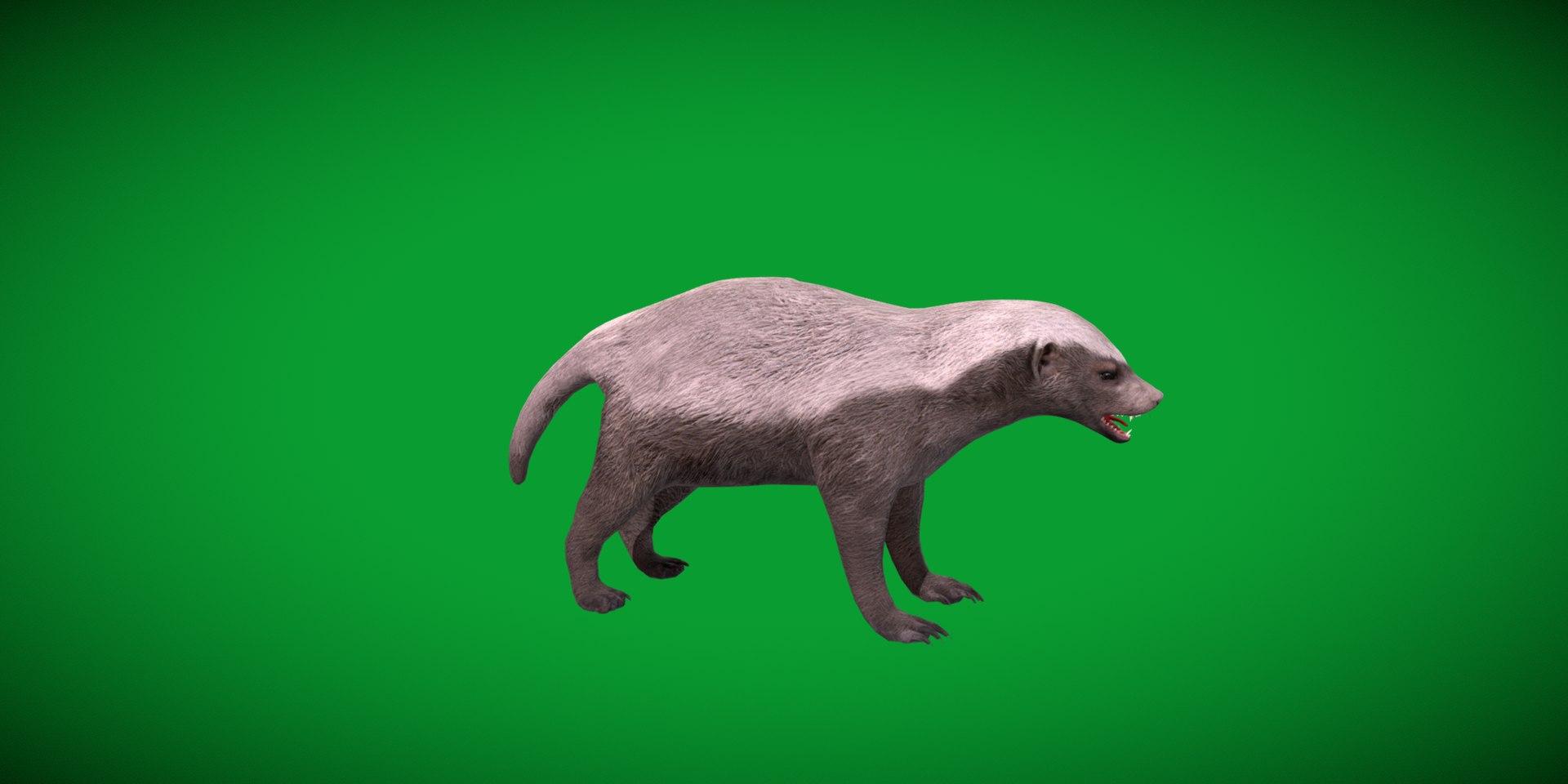 3D HoneyBadger https://p.turbosquid.com/ts-thumb/xz/OBWGb9/Qd/ratel1/png/1786659297/1920x1080/fit_q87/da6d13adc2265e4f2b7d00e02b45ee36f899451e/ratel1.jpg