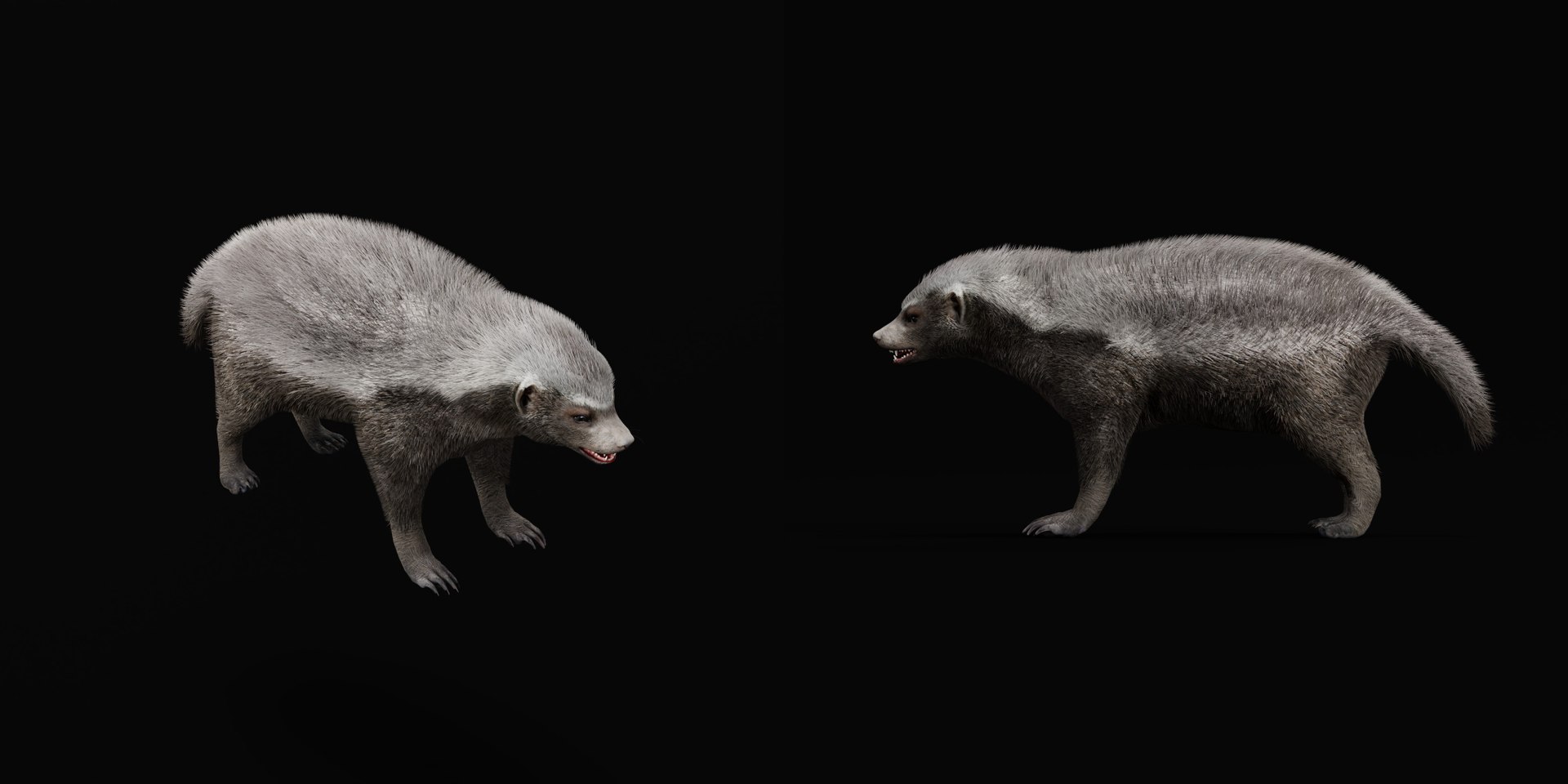 3D HoneyBadger https://p.turbosquid.com/ts-thumb/xz/OBWGb9/i5/ratel3/png/1786659299/1920x1080/fit_q87/1bd1f6b916aff5a3cec4133977978aa8d573a530/ratel3.jpg