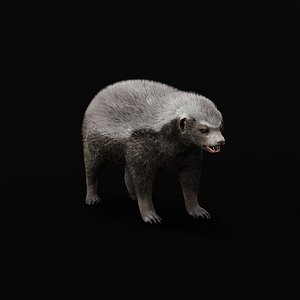 HoneyBadger