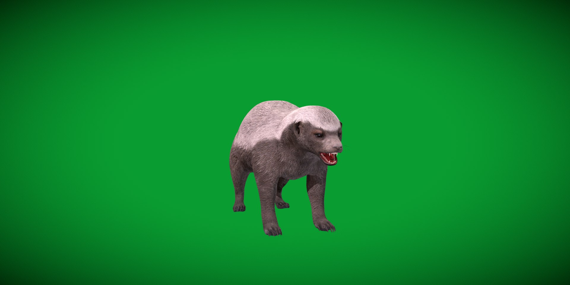 3D HoneyBadger https://p.turbosquid.com/ts-thumb/xz/OBWGb9/oJ/ratel2/png/1786659297/1920x1080/fit_q87/1513d62342182e9197d07ad64d5537ca12484c7b/ratel2.jpg