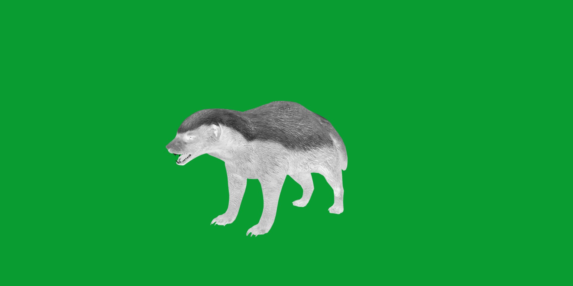 3D HoneyBadger https://p.turbosquid.com/ts-thumb/xz/OBWGb9/qx/ratel13/png/1786659306/1920x1080/fit_q87/c87a496877ad7ec7fd1851dac76d7f53946b015f/ratel13.jpg