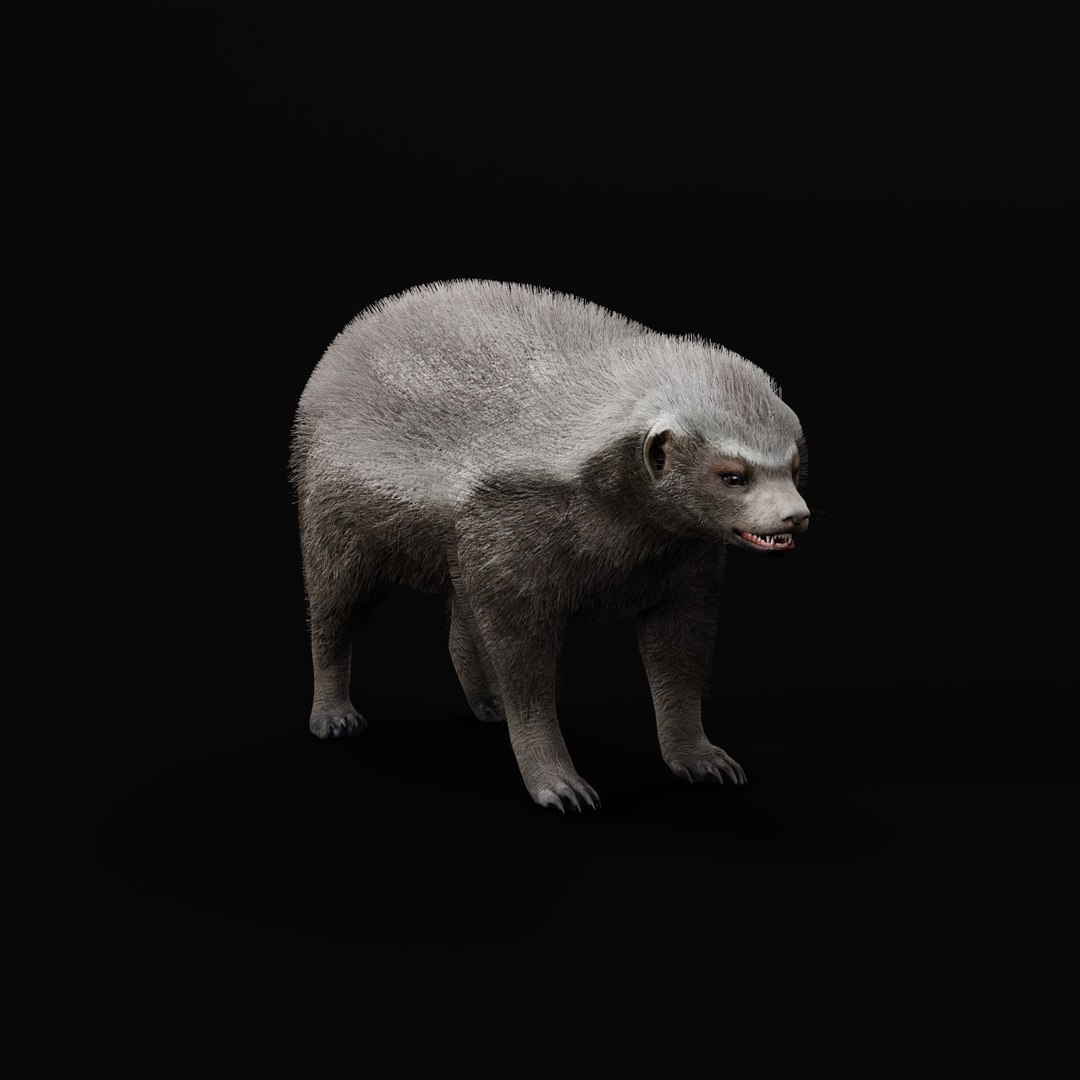 3D HoneyBadger https://p.turbosquid.com/ts-thumb/xz/OBWGb9/wj/honeybadgerao/jpg/1786659292/1920x1080/fit_q87/fc240e07b7bf6cd16c611a7c09378b970d5e4189/honeybadgerao.jpg