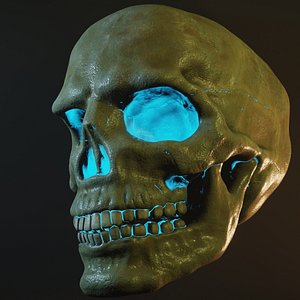 Human Skull 3D Model 3D