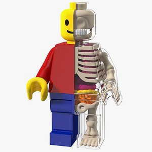 Anatomical LEGO Man Glass Half 3D model