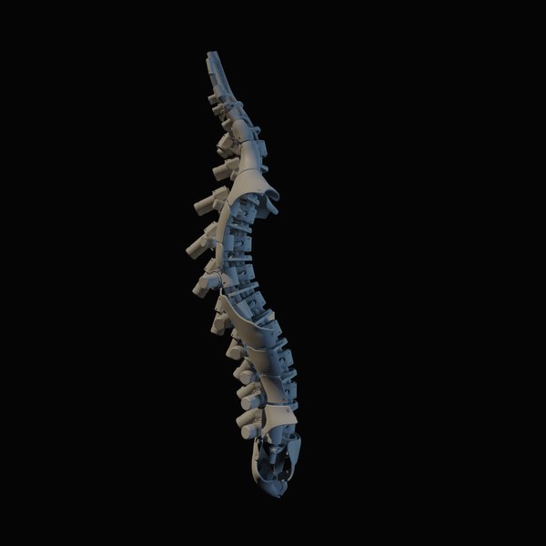 3D spine mechanical 01 - TurboSquid 1550466