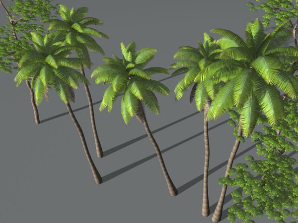 palm max