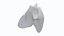 Human Thymus