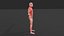 Modelo 3D del sistema muscular humano