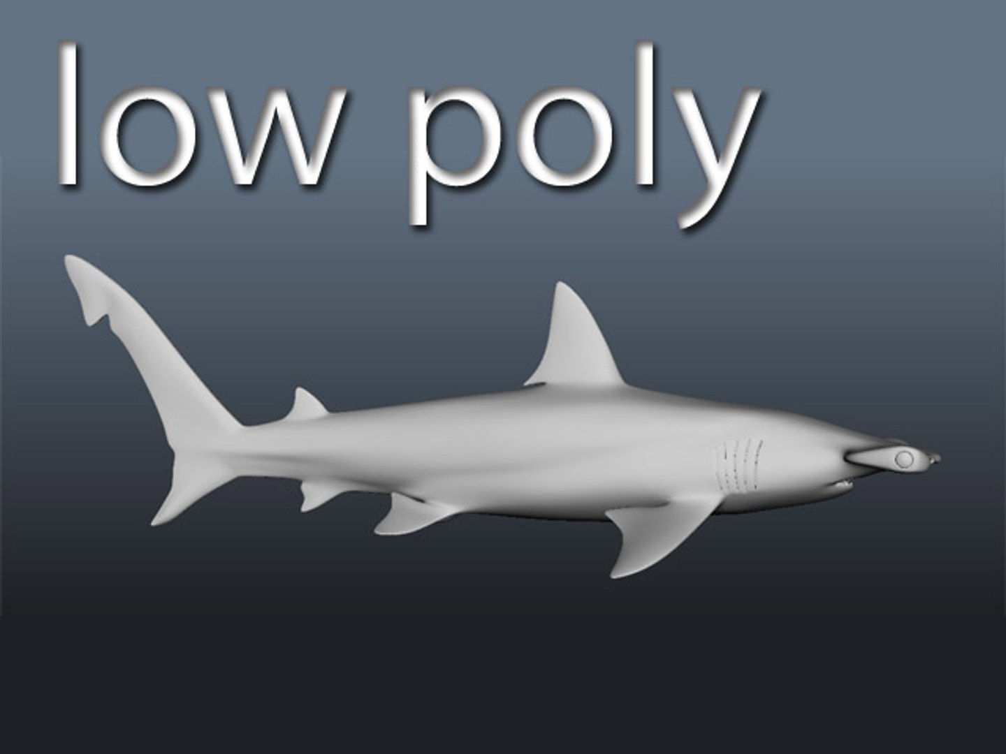 Hammerhead Modelling 3d Model