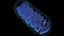 Mitochondria