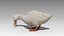 Duck Animated