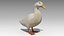 Duck Animated