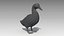Duck Animated