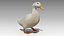 Duck Animated