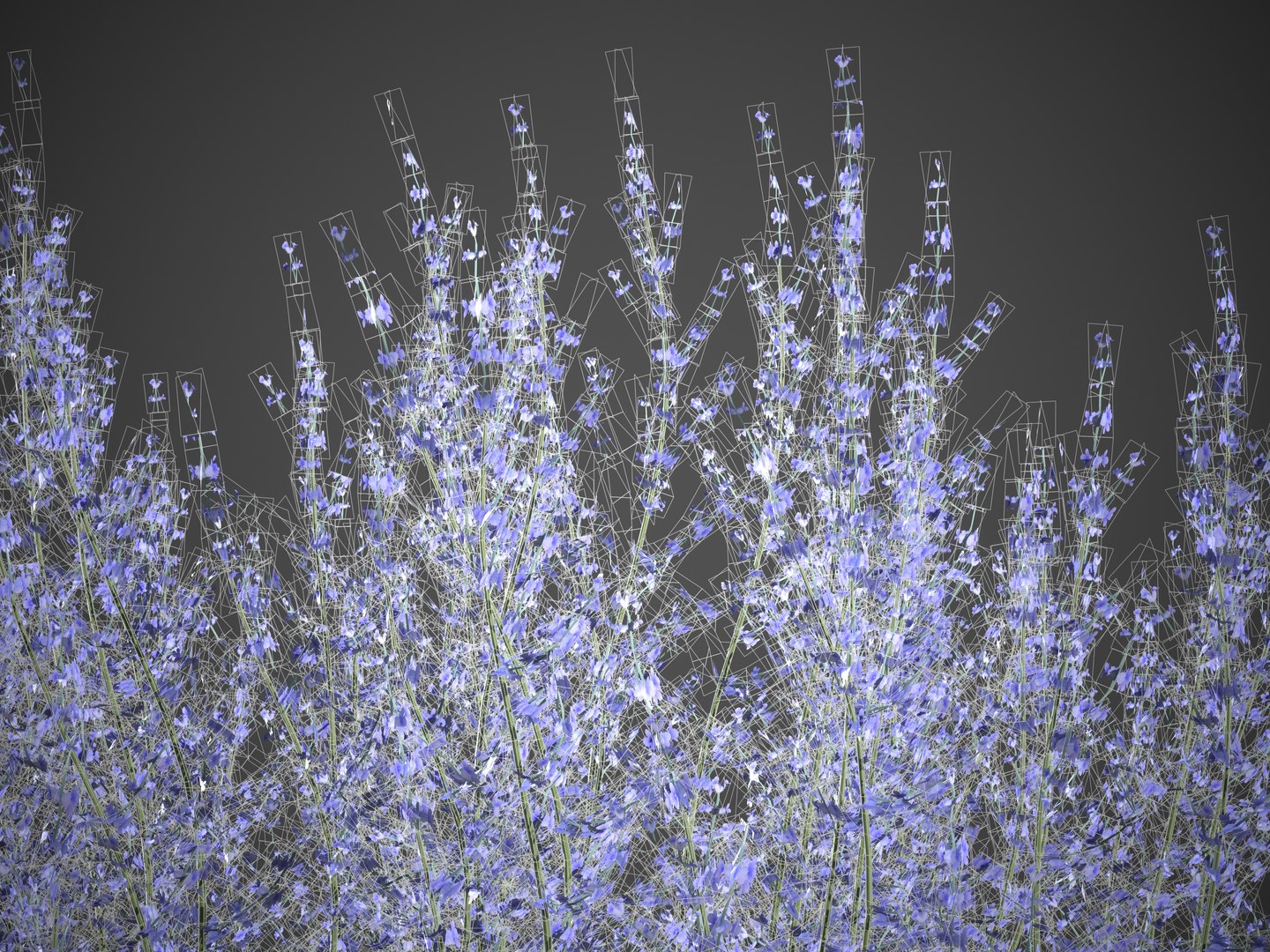 XfrogPlants Russian Sage - Perovskia Atripliciflolia 3D model https://p.turbosquid.com/ts-thumb/y0/IecDOP/Ny/screenshot000/jpg/1621964976/1920x1080/fit_q87/0b5660fd0c1a1068c9b4da3f4fea2216cdc0f6a7/screenshot000.jpg