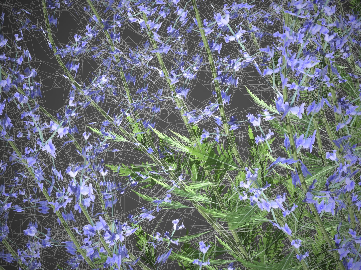XfrogPlants Russian Sage - Perovskia Atripliciflolia 3D model https://p.turbosquid.com/ts-thumb/y0/IecDOP/UK/screenshot001/jpg/1621964976/1920x1080/fit_q87/7bd8968056d9da2deecb80efe33ff9588fe2067c/screenshot001.jpg