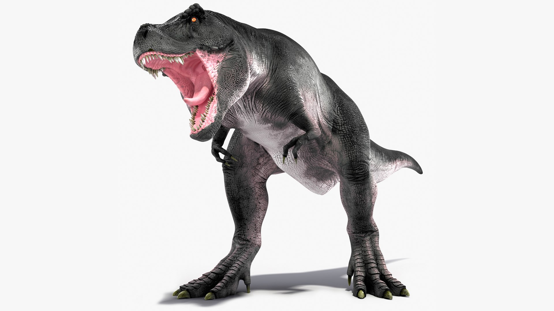 T Rex Roar Pose 3D model preview