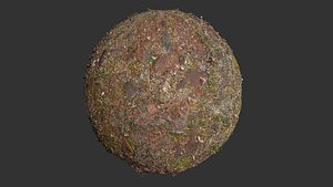 Forest Floor Dirt Rocks 4k Pbr Texture model