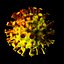 Coronavirus (COVID-19