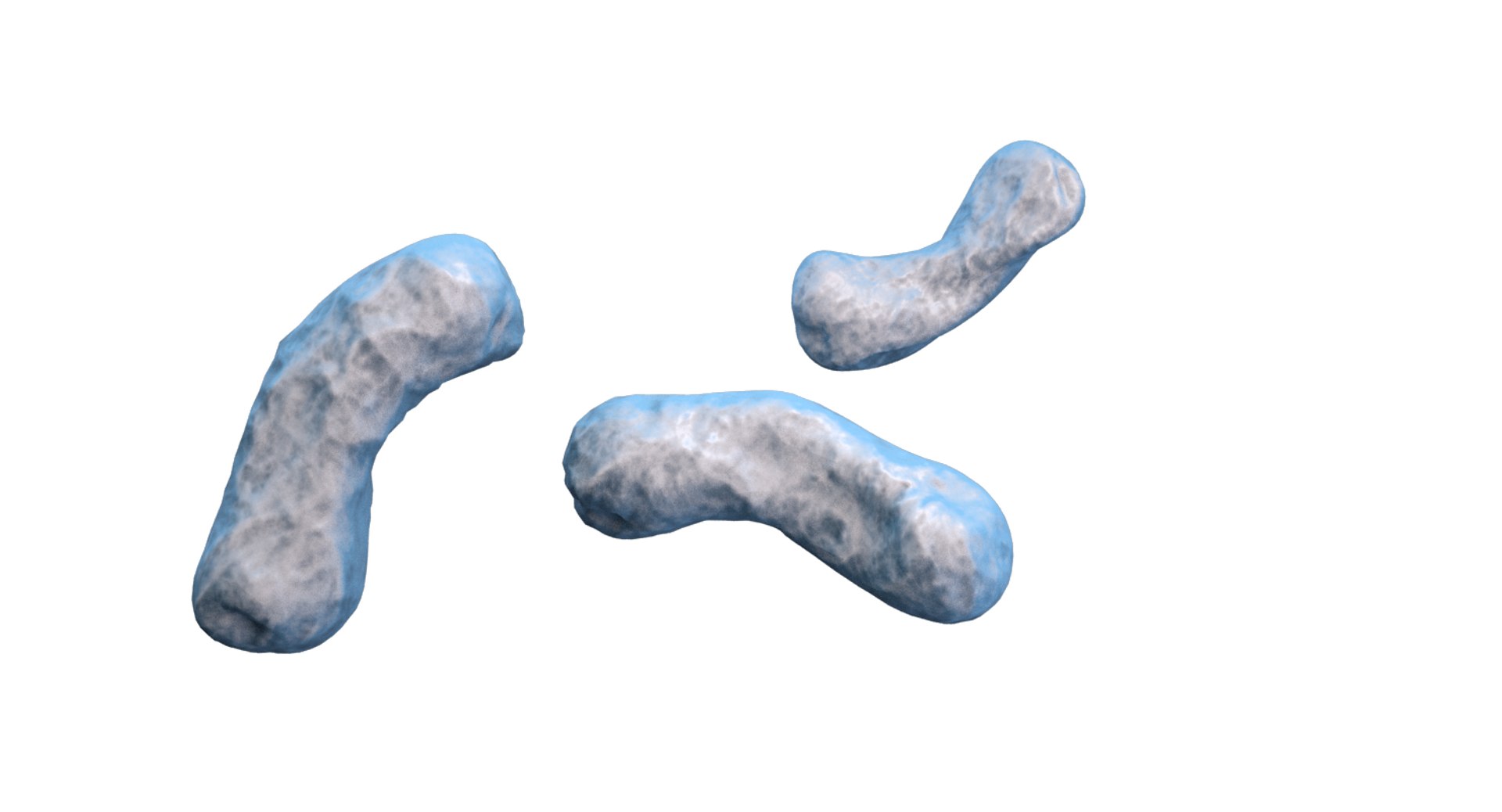burkholderia cepacia bacteria 3D model https://p.turbosquid.com/ts-thumb/y0/XMxCZk/0NWEwGYp/render_4/png/1517963721/1920x1080/fit_q87/d832ecc4a0a9fa6205afbf5cdb71623ad72ed7f2/render_4.jpg