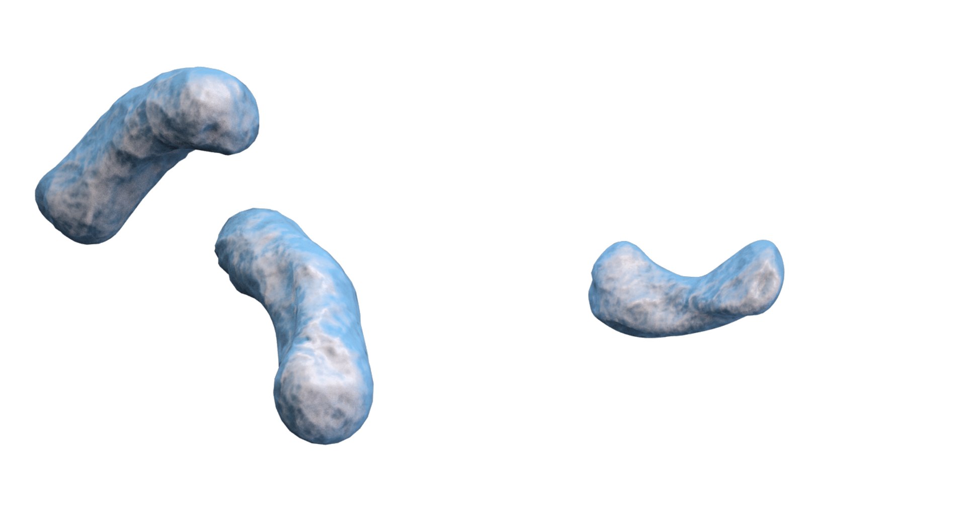 burkholderia cepacia bacteria 3D model https://p.turbosquid.com/ts-thumb/y0/XMxCZk/3oJBObEg/render_5/png/1517963721/1920x1080/fit_q87/f9c279e1335248b55feb73412c7b2f2d1a30fd5e/render_5.jpg