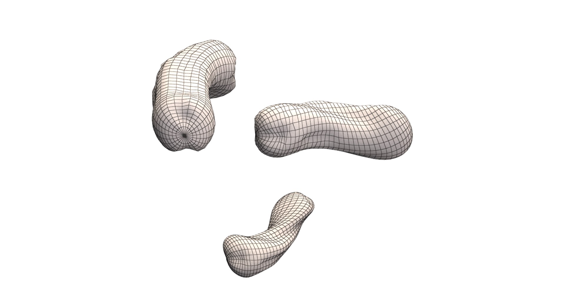 burkholderia cepacia bacteria 3D model https://p.turbosquid.com/ts-thumb/y0/XMxCZk/5fgrl6bH/render_17/png/1517963722/1920x1080/fit_q87/73f7007c072b43ad80fff5b229a6974991bb77ca/render_17.jpg
