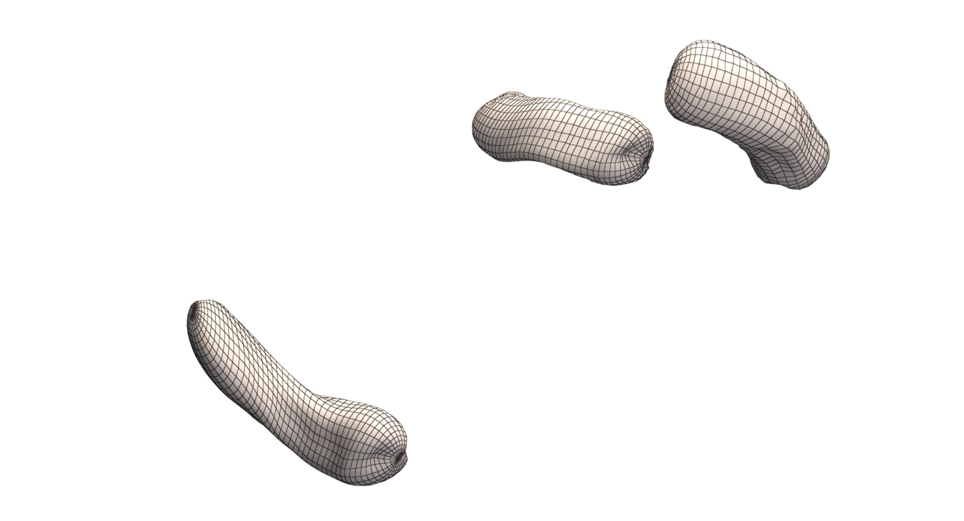 burkholderia cepacia bacteria 3D model https://p.turbosquid.com/ts-thumb/y0/XMxCZk/8XV5saap/render_15/png/1517963722/1920x1080/fit_q87/462e6ced6b582f9d7e5c241ee97ebe85859a7736/render_15.jpg