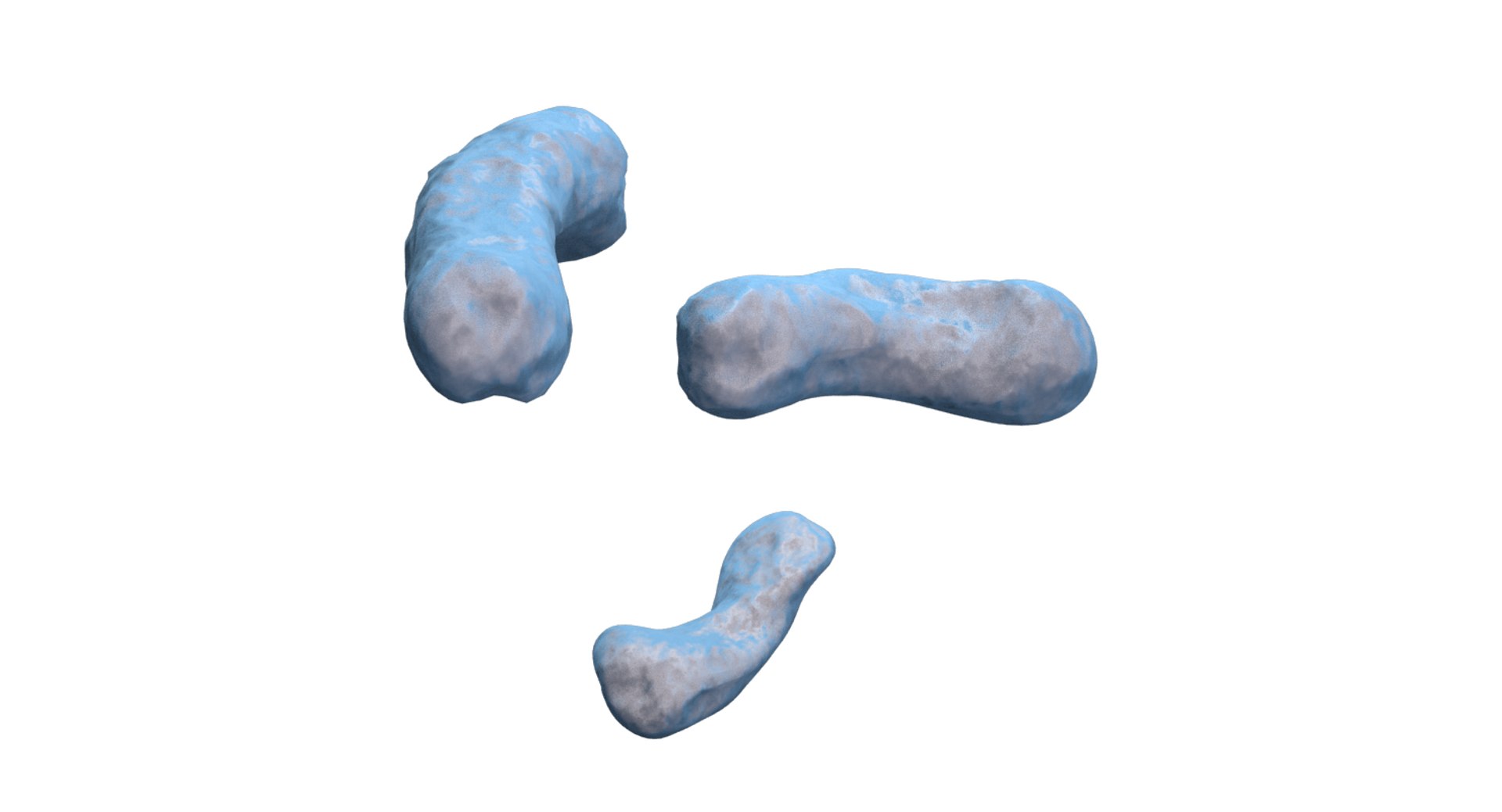 burkholderia cepacia bacteria 3D model https://p.turbosquid.com/ts-thumb/y0/XMxCZk/OPou6IB3/render_9/png/1517963722/1920x1080/fit_q87/8ff8b5c03b19b5674c4c9b396c9b47aa8f3dd8af/render_9.jpg