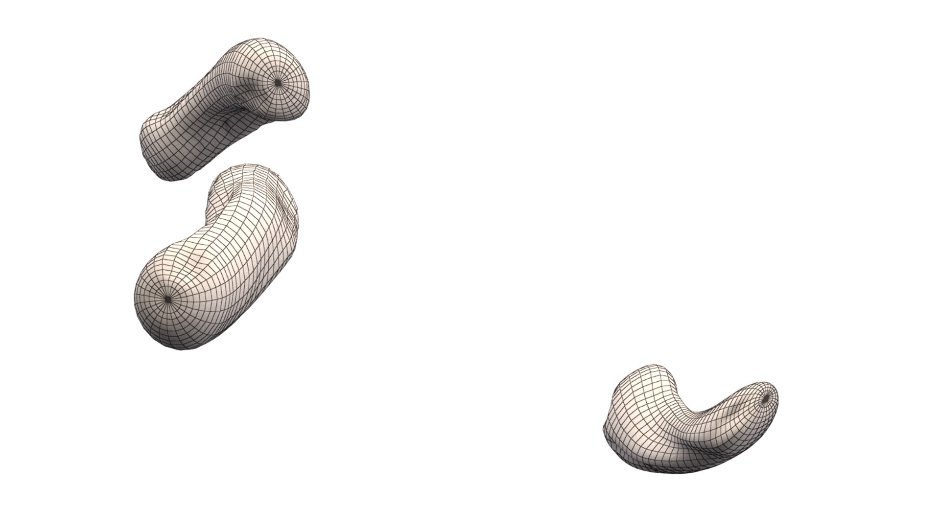 burkholderia cepacia bacteria 3D model https://p.turbosquid.com/ts-thumb/y0/XMxCZk/RxdzG5ZE/render_14/png/1517963722/1920x1080/fit_q87/8ae5ed20692e82131f00b427052fa028561e36f9/render_14.jpg