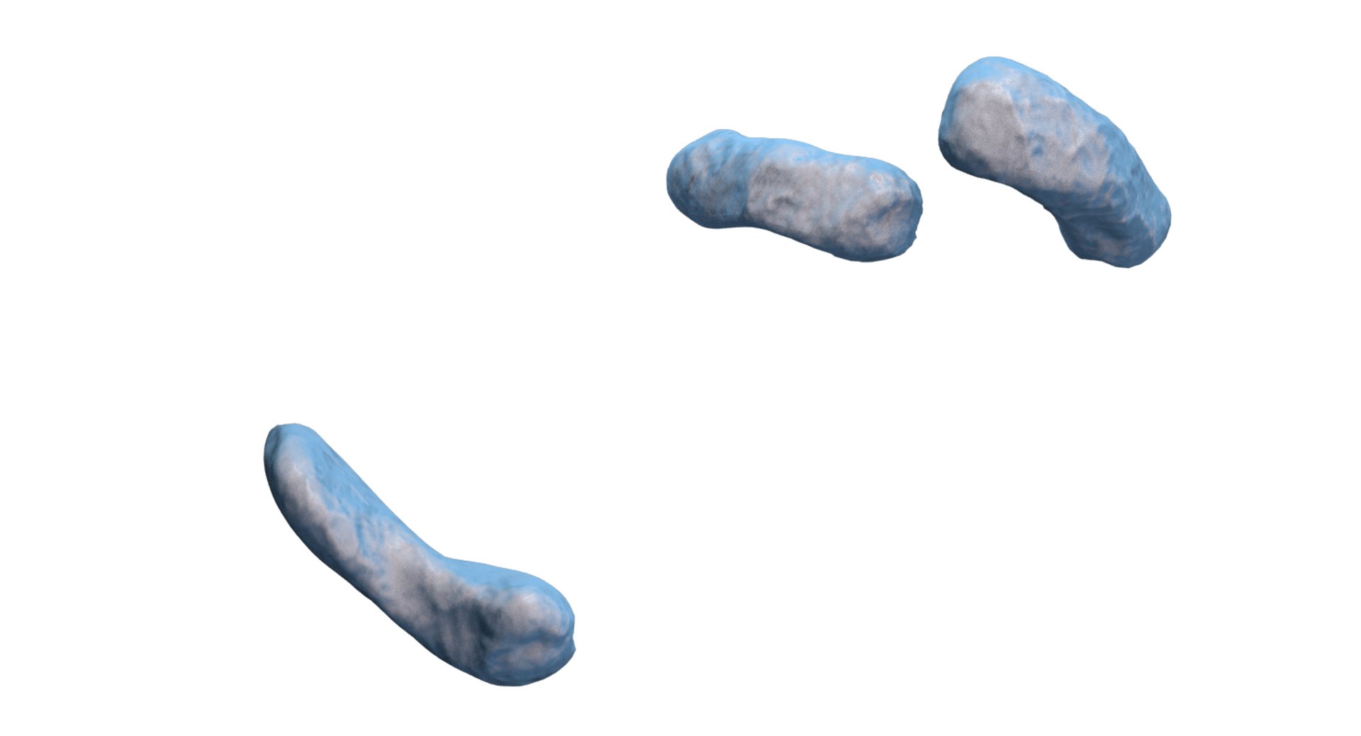 burkholderia cepacia bacteria 3D model https://p.turbosquid.com/ts-thumb/y0/XMxCZk/ZcH9whpr/render_7/png/1517963721/1920x1080/fit_q87/0955ed201cbd2f2af0deda7b181bf9dcf31fa158/render_7.jpg