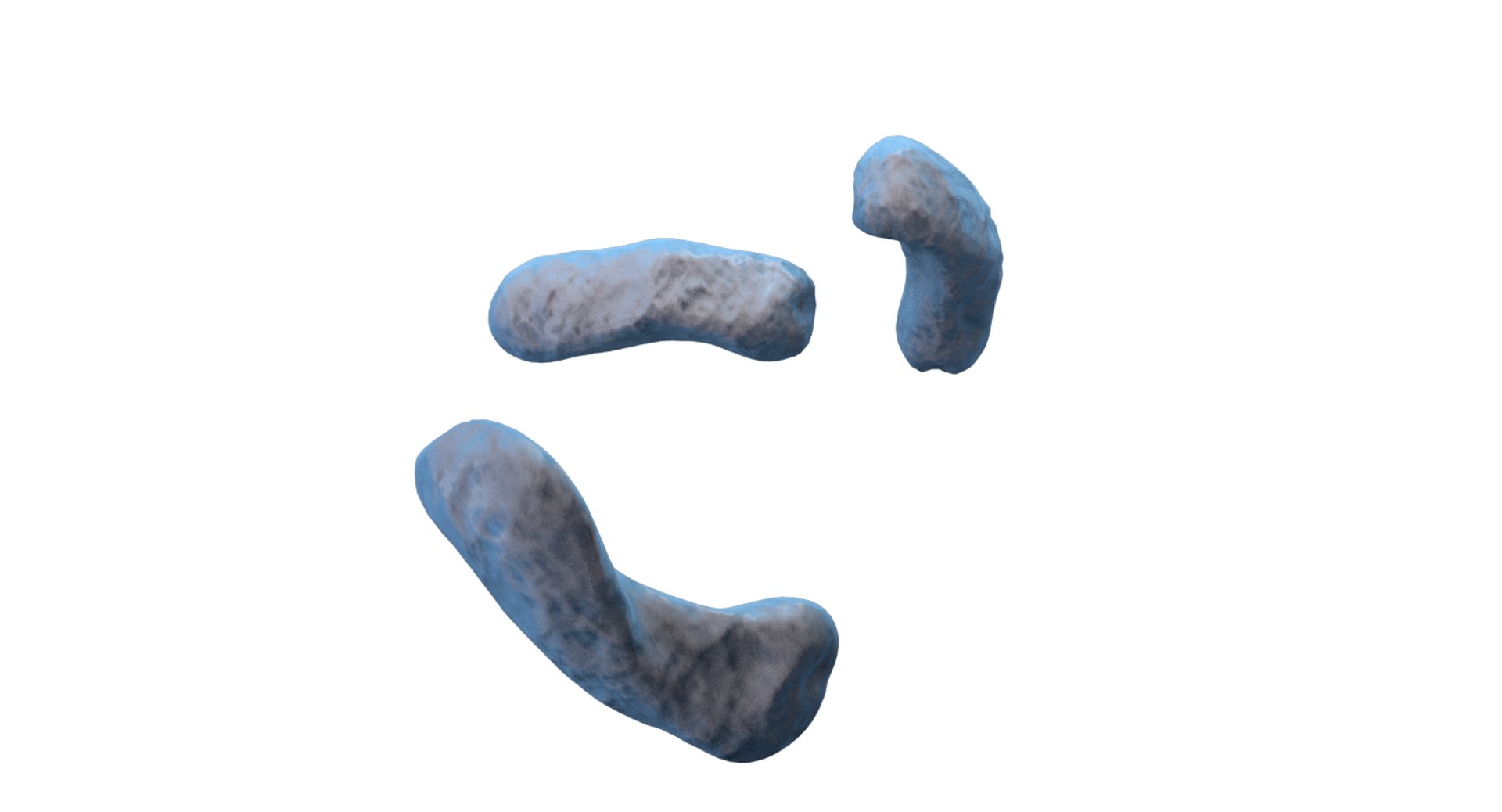 burkholderia cepacia bacteria 3D model https://p.turbosquid.com/ts-thumb/y0/XMxCZk/gGAVPCyT/render_8/png/1517963721/1920x1080/fit_q87/11cc10e361c29745c31813487552767ff59238ca/render_8.jpg