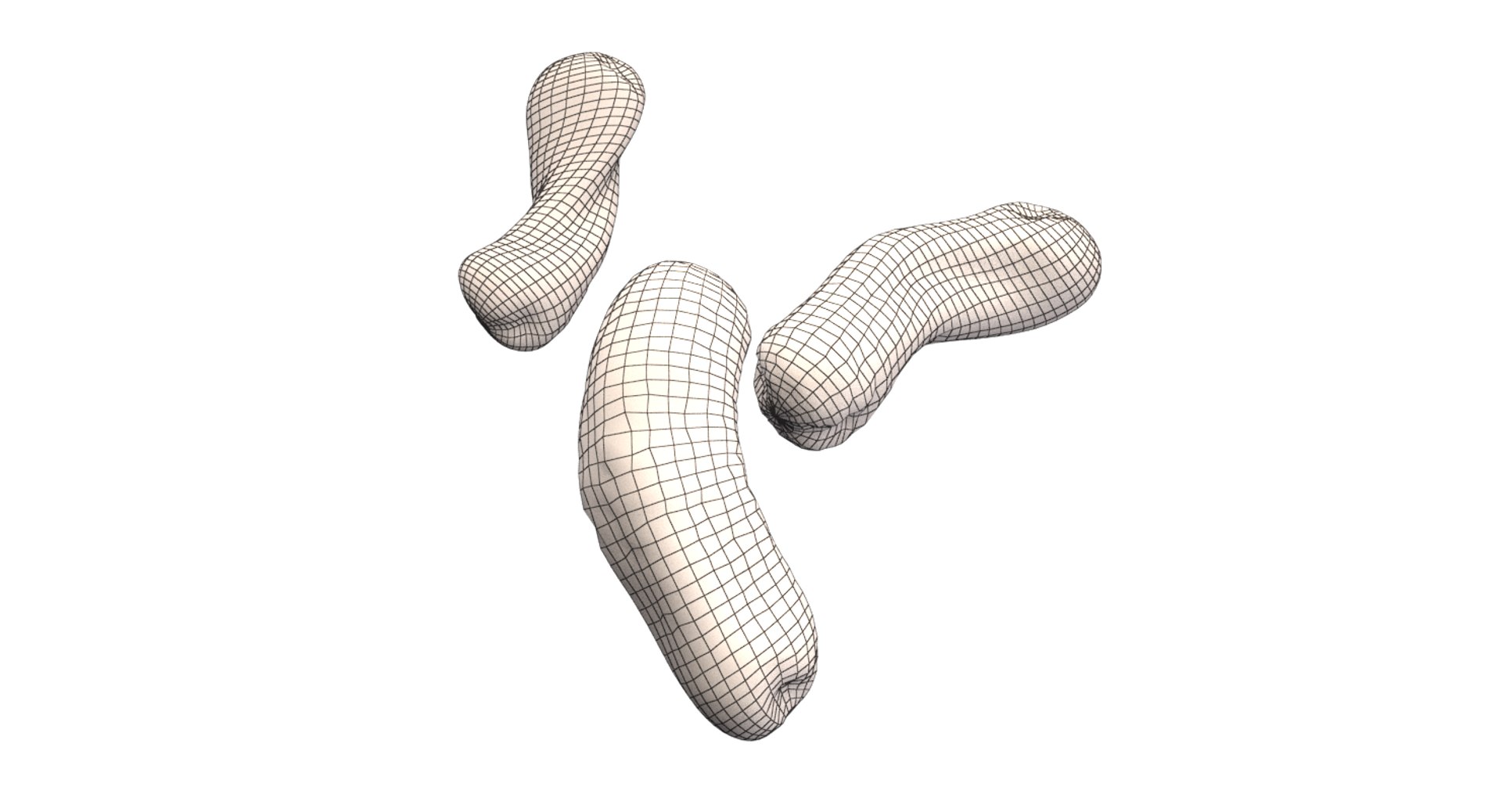 burkholderia cepacia bacteria 3D model https://p.turbosquid.com/ts-thumb/y0/XMxCZk/lfjg4imi/render_10/png/1517963722/1920x1080/fit_q87/a5a4770d14689a69d1b402915f80004a442a05a5/render_10.jpg