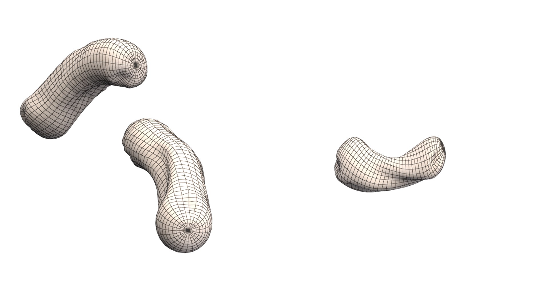 burkholderia cepacia bacteria 3D model https://p.turbosquid.com/ts-thumb/y0/XMxCZk/rgZtuLxU/render_13/png/1517963722/1920x1080/fit_q87/73c54be4f167aea6f9896f985a9cc3f3873dfd37/render_13.jpg