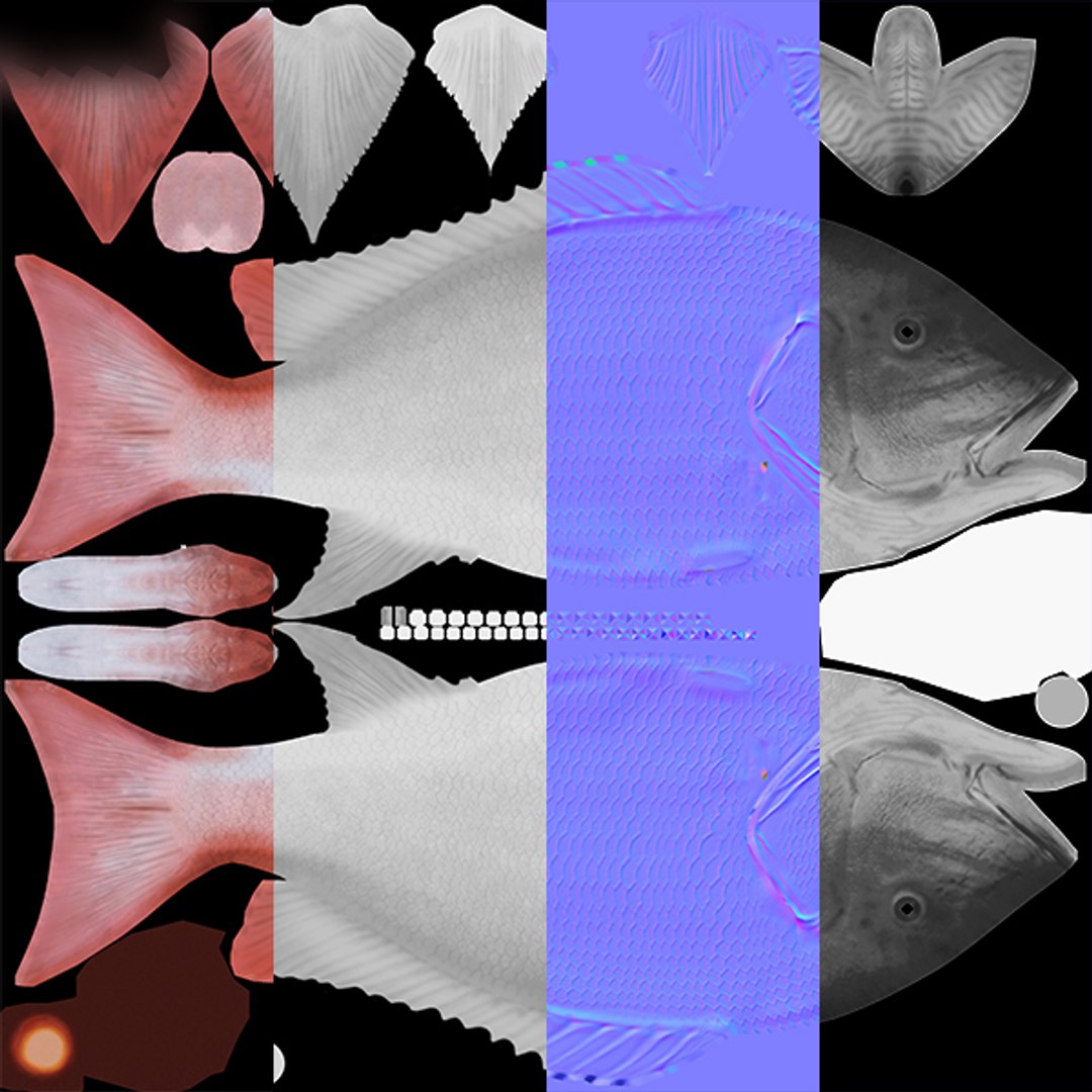 Northern red snapper 3D model - TurboSquid 1526326