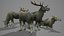Moose