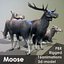Moose