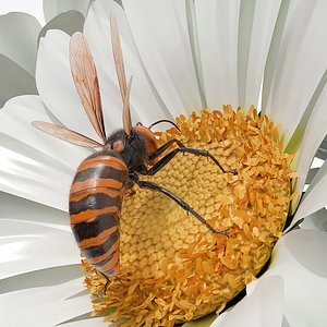 Vespa Mandarinia Take Off Fur Animated Rigged For Maya