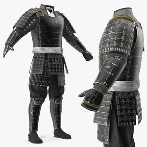 Feudal Samurai Chest and Leg Armor Black Worn