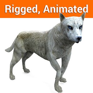 Wolf rigged animated