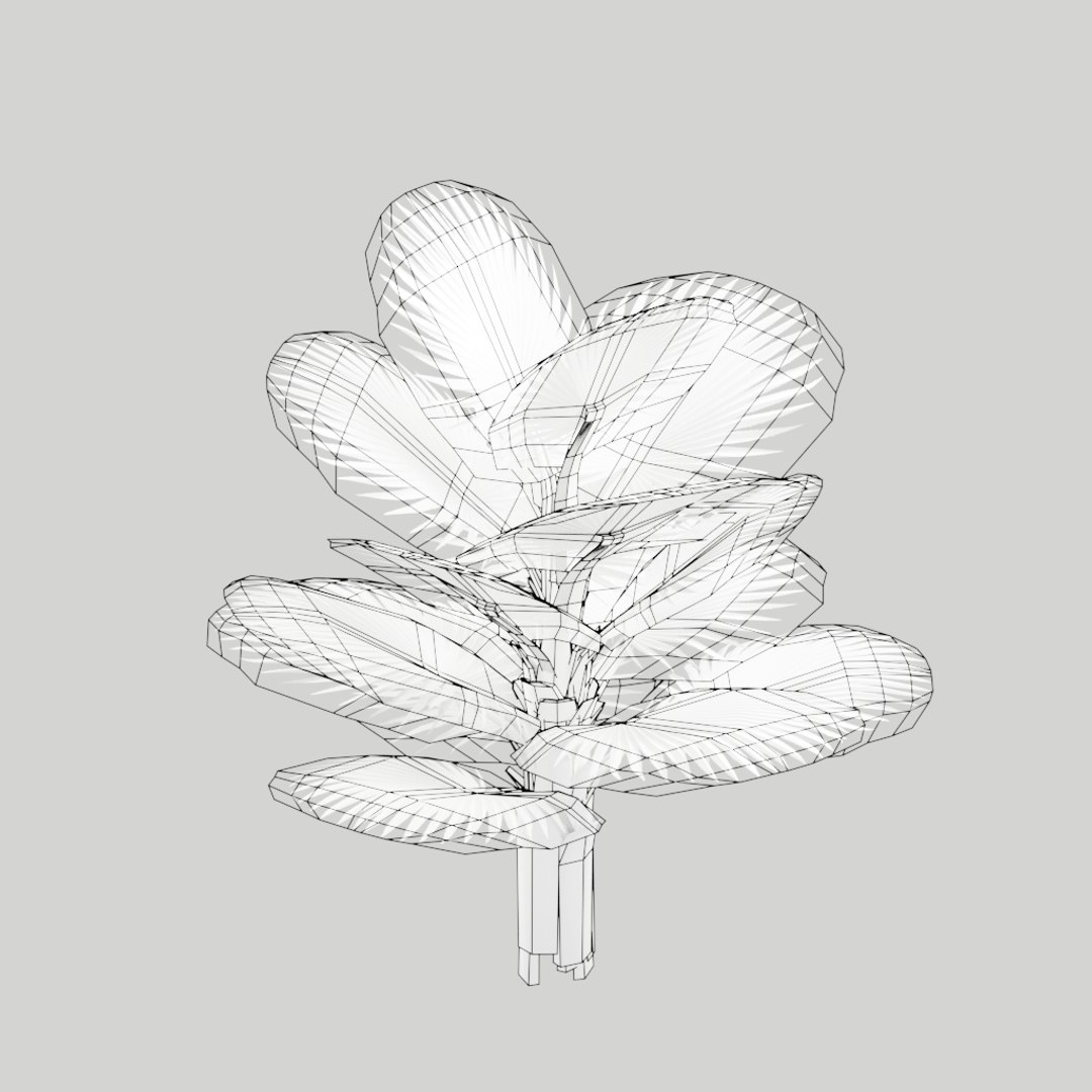 Fan Palm Tree 3D Model - TurboSquid 1423326