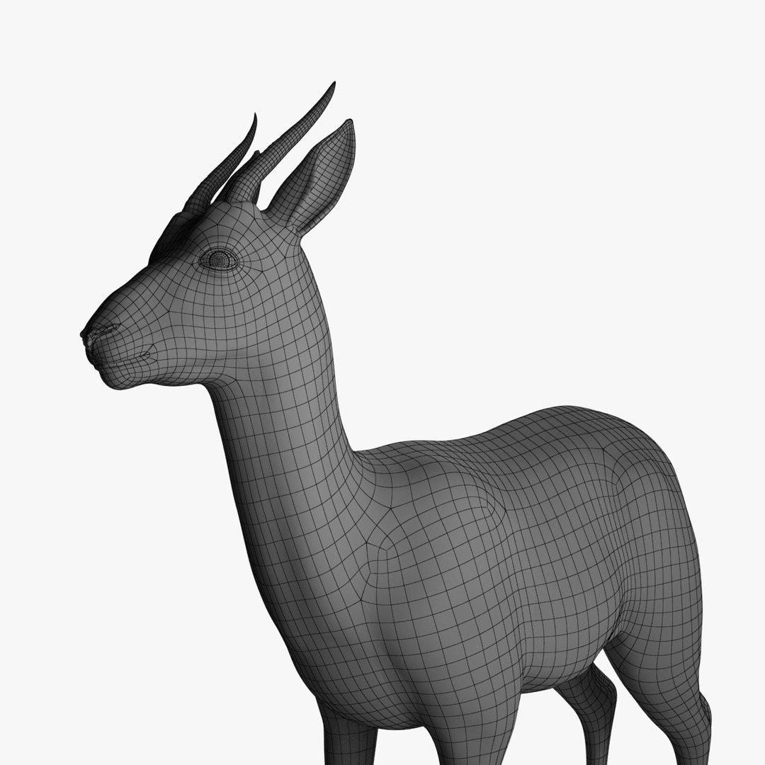 3d model thomson gazelle fawn - https://p.turbosquid.com/ts-thumb/y1/8K0kBw/DEhf4Lh5/gazellefawn_v002.0004/jpg/1458926659/1920x1080/fit_q87/46d6b90be256cad0cb6dd5d142f0eb8eced914fb/gazellefawn_v002.0004.jpg