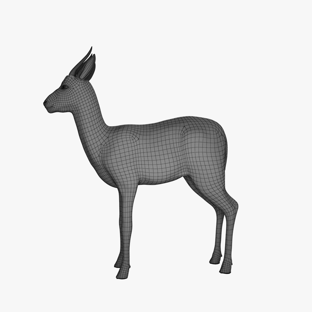 3d model thomson gazelle fawn - https://p.turbosquid.com/ts-thumb/y1/8K0kBw/YYIYeKFW/gazellefawn_v002.0002/jpg/1458926659/1920x1080/fit_q87/811fdc40a9765365ebb726b3ed8b57057ede959b/gazellefawn_v002.0002.jpg
